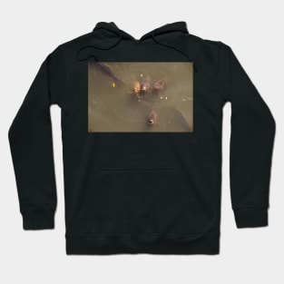 Catfish 2 Hoodie